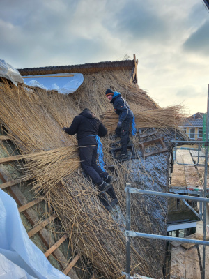 Aktuelles Projekt Reetdach
